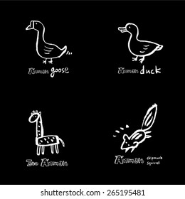 Hand drawn ZOO illustration - animal sketch - vector