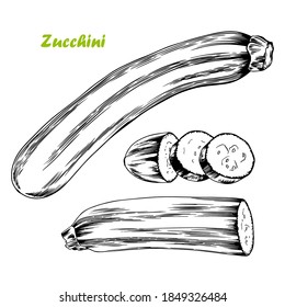 Huevos de zucchini a mano. Ilustración vectorial en blanco y negro.