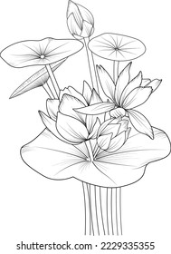 Hand drawnlotus-water lily flowers bouquet vector sketch illustration engraved ink art botanical leaf branch collection isolated on white background coloring page and books.