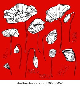 Hand draws a set with poppy seeds. Beautiful flowers with patterns and small details. set with poppies, wildflowers, poppy boxes. Poppy wound form. For design, textile, wallpaper, paper.