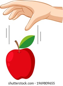 Hand dropping an apple for gravity experiment illustration