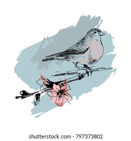 Hand drown bird sitting on an almond branch. Disign or greeting card site banner