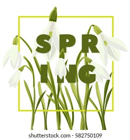 Hand drown bouquet of snowdrops. Modern typography with text Spring. Botanical vector illustration. Colorful flowers graphic design Good idea for t-shirt, fashion, prints, web banner