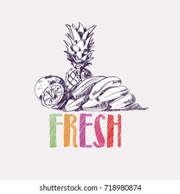 Hand drown fresh fruits. Banana, pineapple, orange, vector
