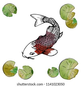 hand drown koi fish vector illustration