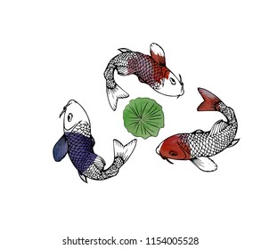 hand drown koi fish vector illustration