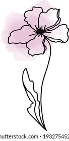 Hand drown outline flower with pink watercolor, converted to vector