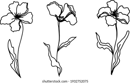 Hand drown outline flowersconverted to vector