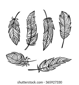 Hand drown vector feathers in zen doodle style.