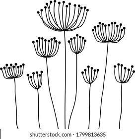 Hand drwan flower Vector illustraion