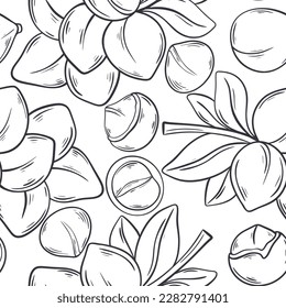Hand engraved macadamia nut seamless pattern. Vintage background with nuts. Digital paper, ink sketch macadamia. Vector illustration