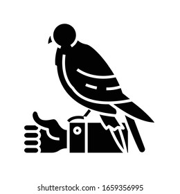 Icono negro halcón mano, ilustración conceptual, símbolo plano vectorial, signo de glifo.