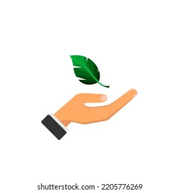 Hand and falling green leaf on white background.