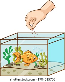 Hand Feeding Goldfish In The Tank Illustration