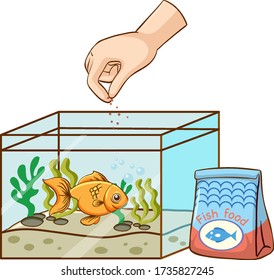 Hand Feeding Goldfish In The Tank Illustration