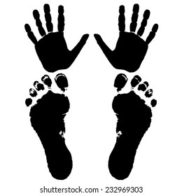 hand and feet of a man isolated on white background, vector