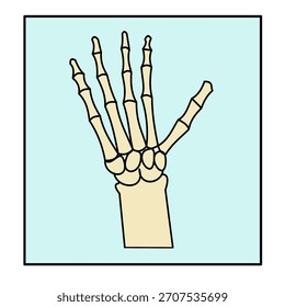 hand finger bones xray carpal bones radiology medical icon minimalist color design