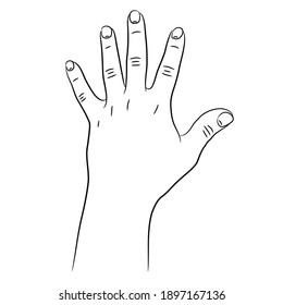 Hand Five Fingers Raised Sketch Draw Stock Vector (Royalty Free ...