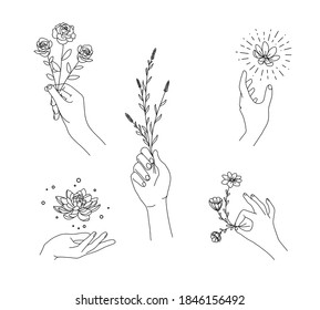 hand floral set with hand drawing style