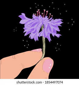 hand with flower, hand drawing, black background, isolated