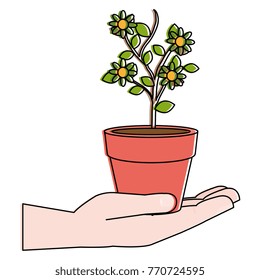 hand with flower in pot icon