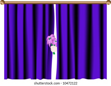 Hand with flowers behind curtain
