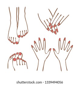 Hand And Foot Illustration Set.
The Nails Are Given Manicure And Pedicure.