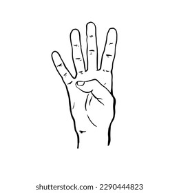 Hand with four fingers up.  The hand shows four fingers raised up. 4 fingers