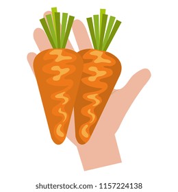 hand with fresh carrots