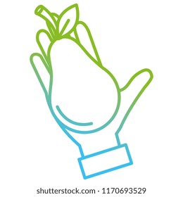 hand with fresh pear