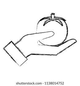 hand with fresh tomato