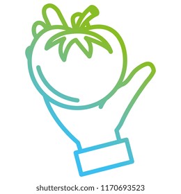 hand with fresh tomato