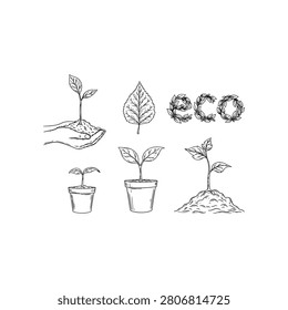A hand gently holds a seedling, surrounded by potted plants and the word ECO, symbolizing growth and nature.