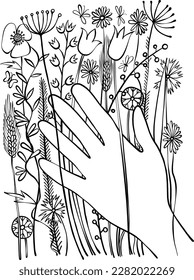 The hand gently touches the spring wild flowers. Hand drawn vector botanical illustration for design