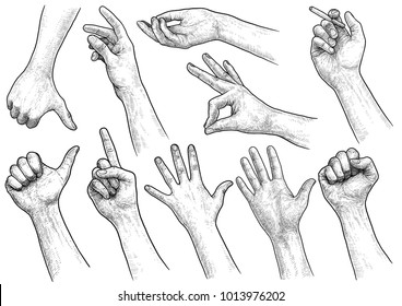 Hand gesture collection illustration, drawing, engraving, ink, line art, vector