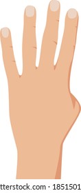Hand gesture counting four, realistic counting hand illustration. Number 4 hand gesture. Isolated on white backgound. Vector