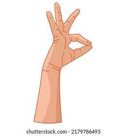 Hand gesture. Graphics. Vector. Drawing in color. Consent. Ok