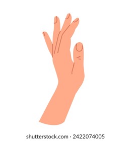 A hand gesture. The human hand is in a relaxed state. The open palm of a woman. Vector graphic illustration isolated on a white background