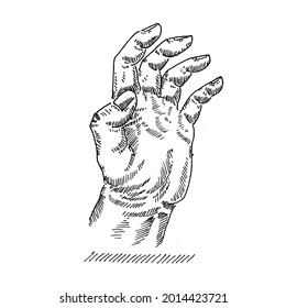 Hand gesture. left hand 5 fingers up holding style. Vector illustration of a vintage retro sketch. Engraving style. black isolated on a white background. vector graphic design illustration sketch