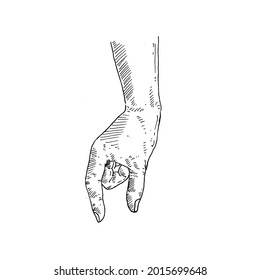 Gesto de mano. a la izquierda, a la baja recogen artículos pequeños.	Ilustración vectorial de boceto retro vintage. Estilo de grabado. negro aislado sobre fondo blanco. esbozo de ilustración de diseño gráfico de dibujo vectorial.