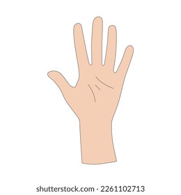 A hand gesture. The number five. Sign language. Vector illustration isolated on white background