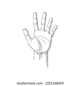 Hand Gesture Number Five, waving hand, Illustration Vector