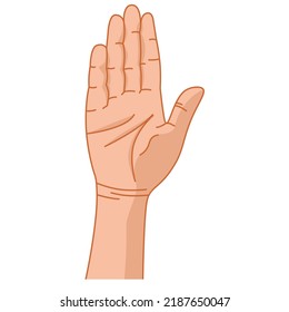 Hand Gesture. Hand. Palm. Vector. Color Graphics. Sign With The Fingers. Intercultural Communication. Indication, Direction. Emotion. Linear Drawing. White Background.	