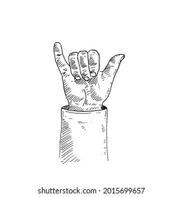 Hand gesture. right hand, fingers form horns.	Retro vintage sketch vector illustration. Engraving style. black isolated on white background. vector draw graphic design illustration sketch.