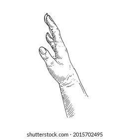 Gesto de mano. mano derecha arriba, buscando agarre.	Ilustración vectorial de boceto retro vintage. Estilo de grabado. negro aislado sobre fondo blanco. esbozo de ilustración de diseño gráfico de dibujo vectorial.