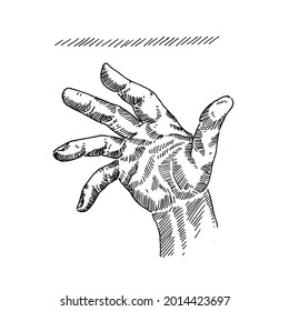 Gesto de mano. la mano derecha ondeando hacia arriba. Ilustración vectorial de un esbozo retro vintage. Estilo de grabado. negro aislado en un fondo blanco. esbozo de ilustración de diseño gráfico vectorial