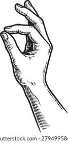 Hand Gesture Showing Pinch or Small Amount