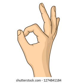 Hand gesture shows okay vector