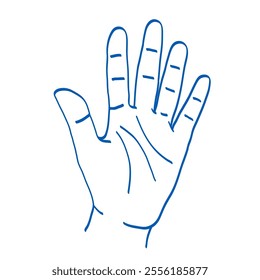 Hand gesture sketch. Counting with fingers. One, two, three, four and five. Palm. Index, middle, ring, little fingers and thumb