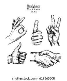 Hand gesture sketch set. Illustration isolated on white background. Engraving style 